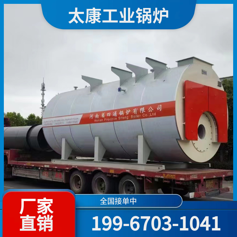 湛江燃煤导热油锅炉