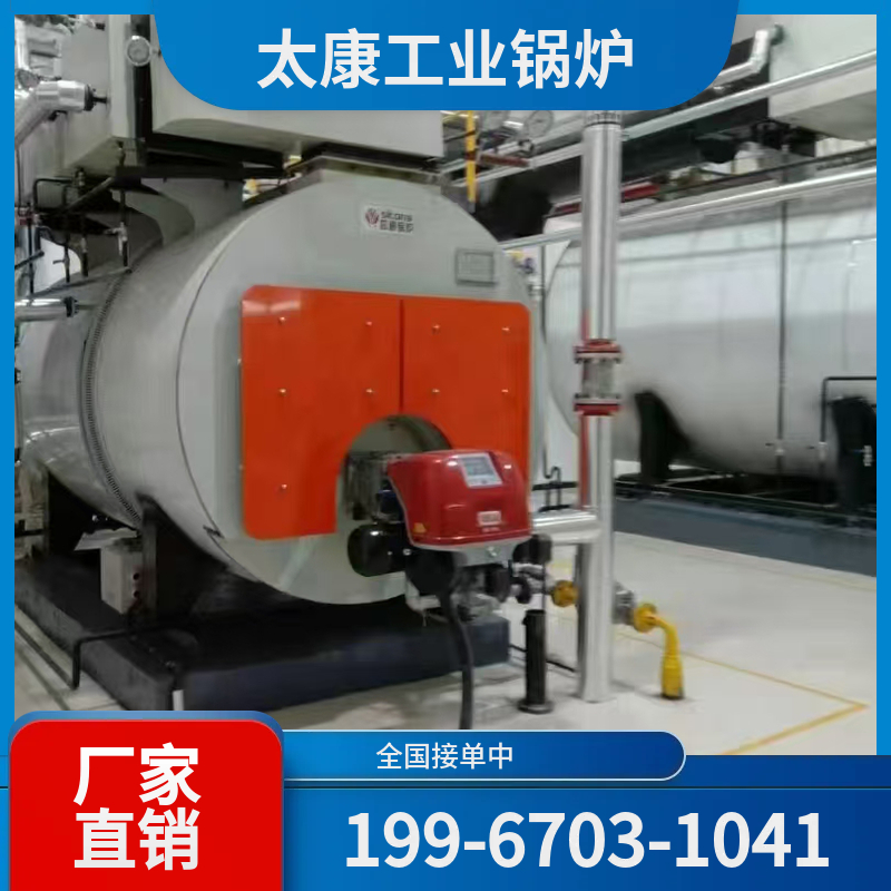 湛江燃气导热油锅炉